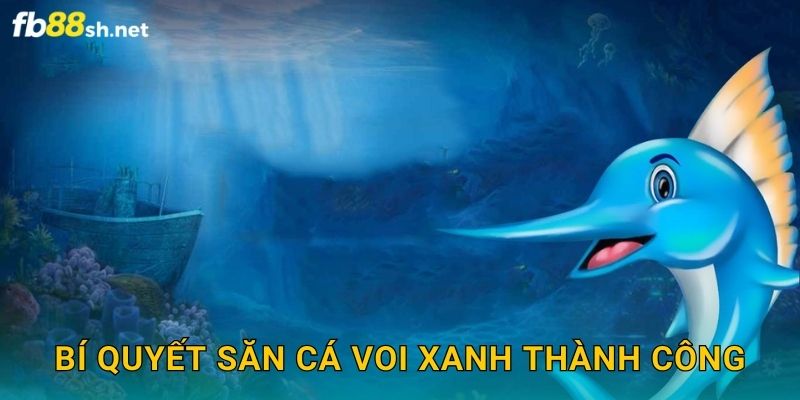 Bí quyết săn Cá Voi Xanh thành công