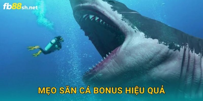 Mẹo săn cá bonus hiệu quả