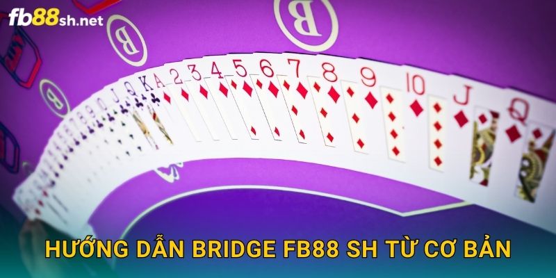 Hướng dẫn Bridge Fb88 sh từ cơ bản