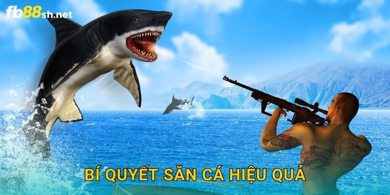 Bí quyết săn cá hiệu quả